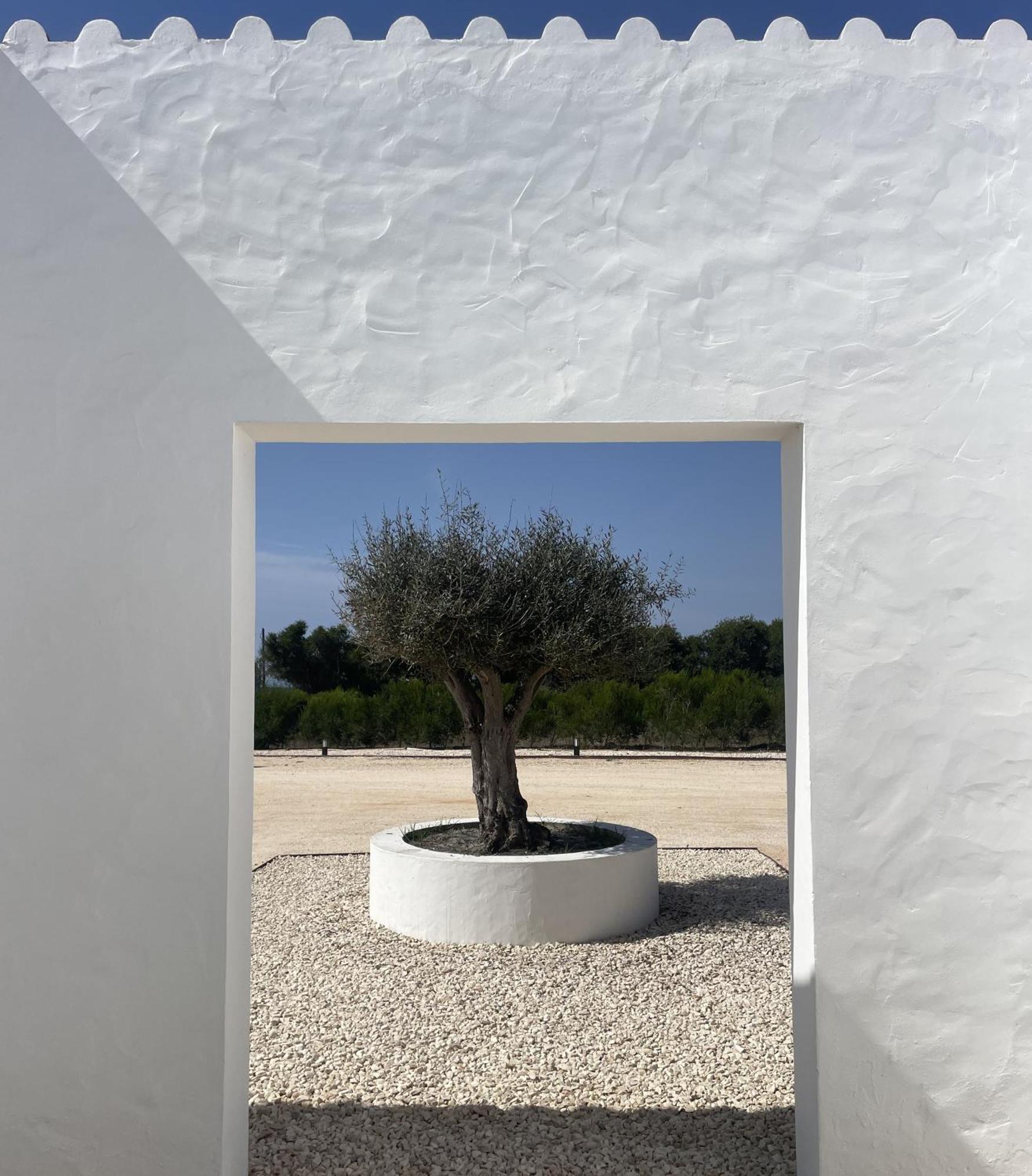 Holiday home Monte Da Fonte Zambujeira do Mar